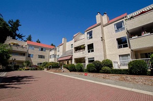 1441 GARDEN PL Tsawwassen Harris First 778-320-3782 Realtor South Delta Negociator