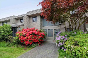 3371 SPRINGFIELD DR STEVESTON - HARRIS FIRST REALTOR STEVESTON 778-320-3782