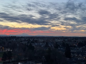 Never Propose A Solution Until You Confirm The Real Obstacle